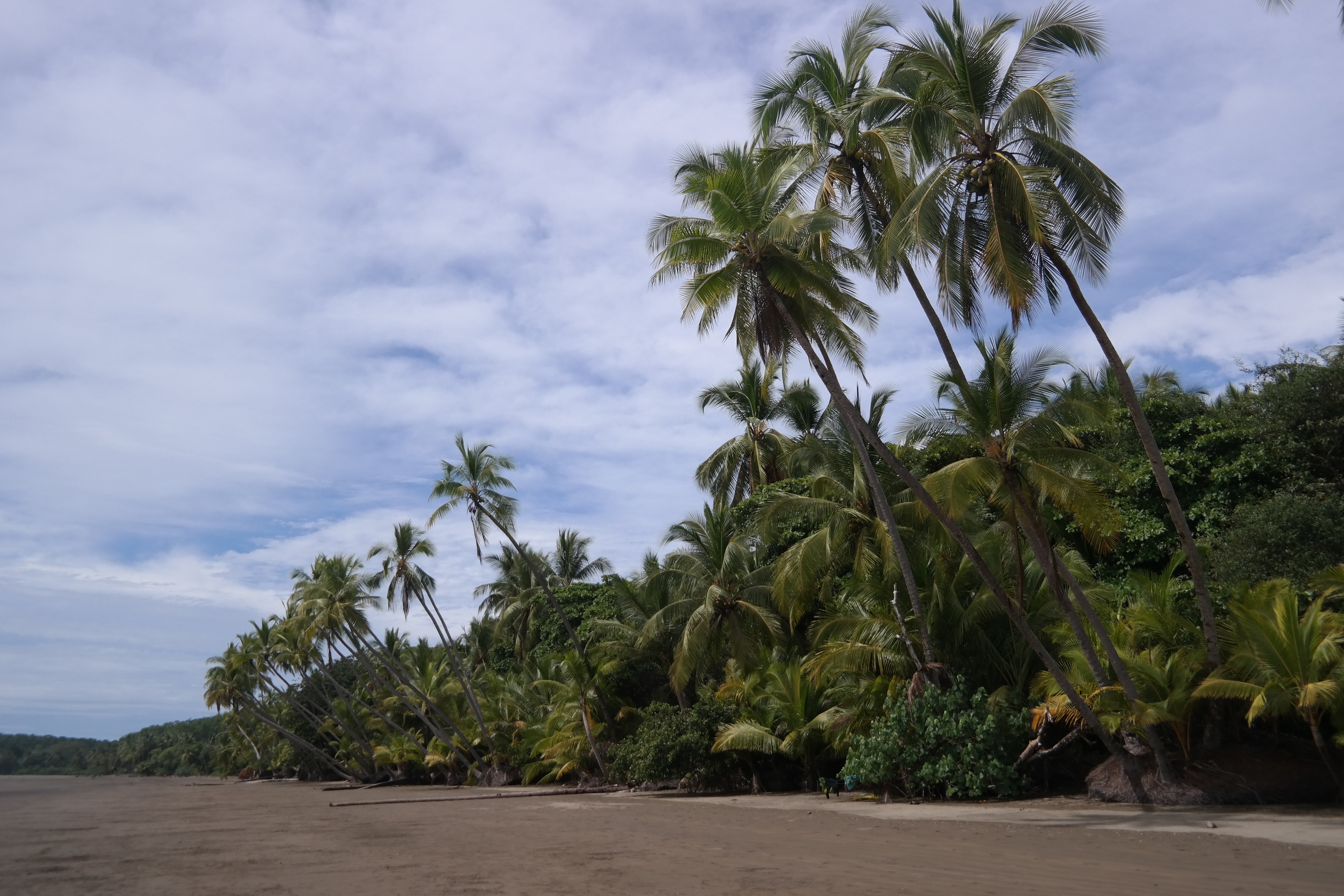 Playa virgen y selva tropical costera en Uvita